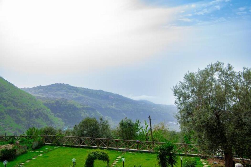 Villa Aurora Oasi Verde Сорренто Экстерьер фото