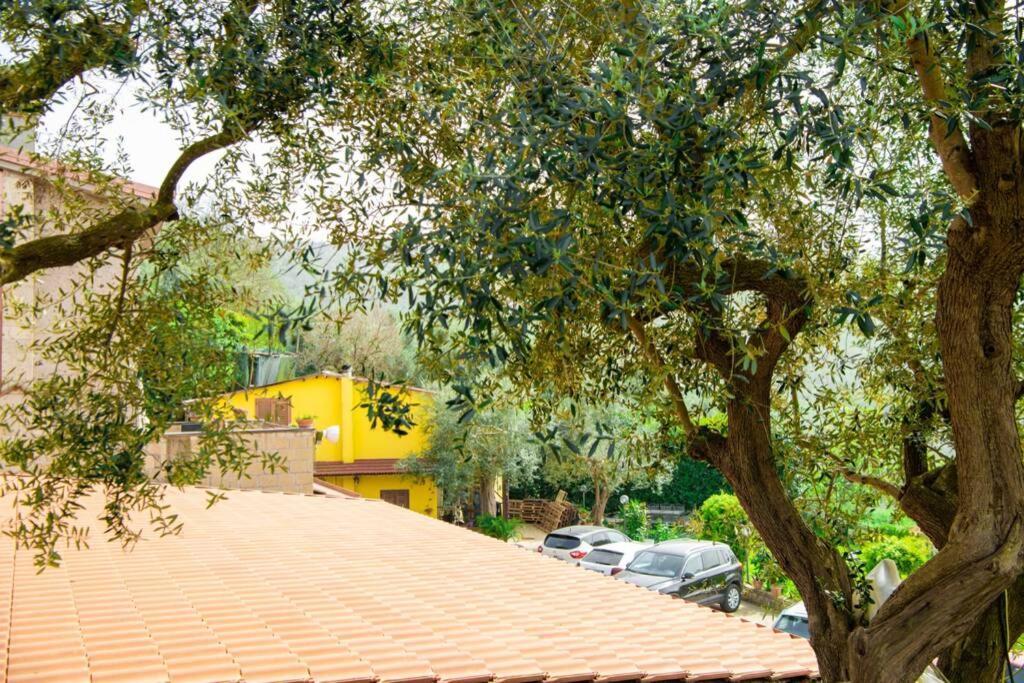 Villa Aurora Oasi Verde Сорренто Экстерьер фото